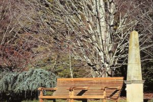 Benches